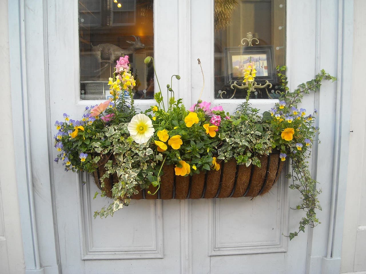 Window box packed with blooming flowers beneath a bright exterior window.