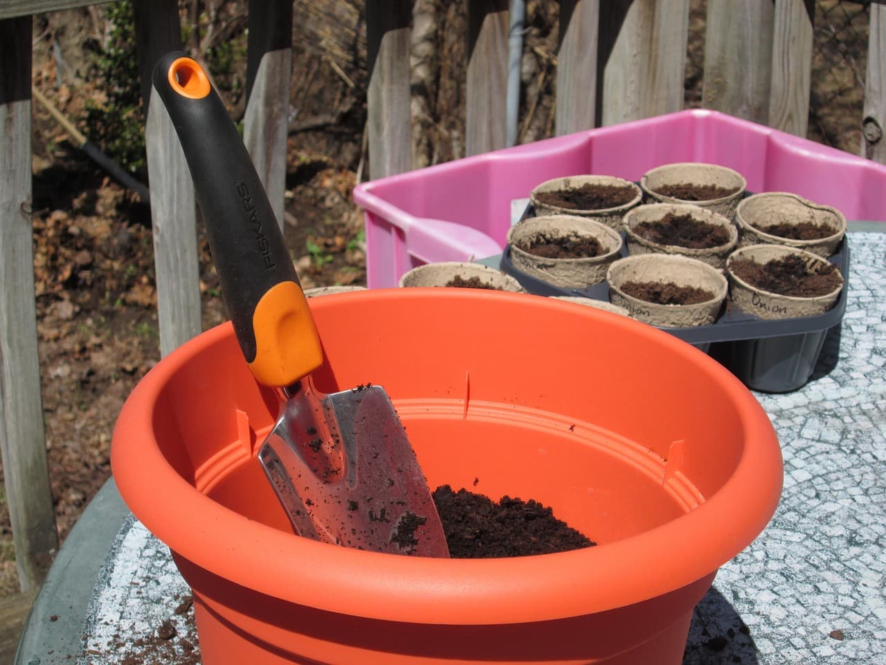 Container garden setup with a large planter, potting mix, and seedling pots on a patio.