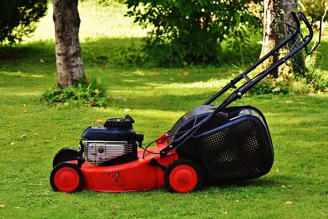 Push mower parked on a healthy green lawn in a backyard.
