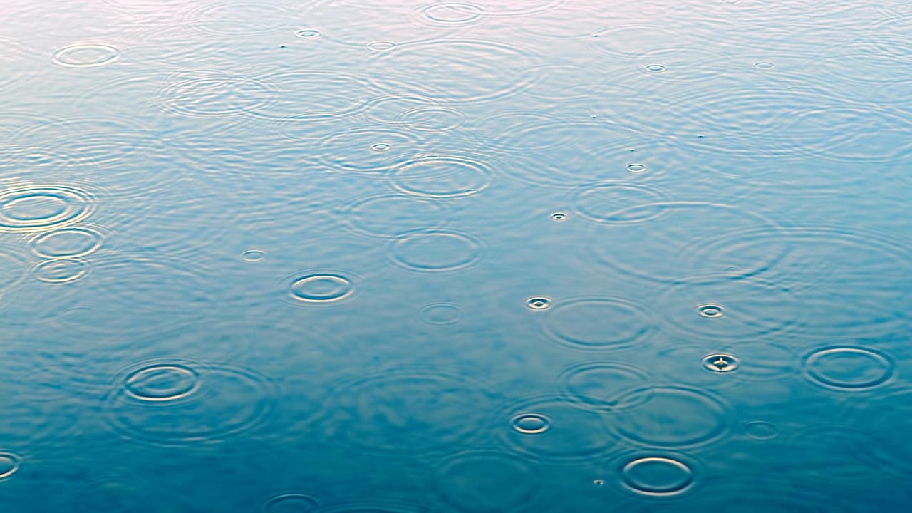 Rain ripples spreading across standing water in a yard puddle.